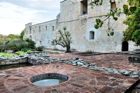 Le Jardin Botanique de Oaxaca : Une Oasis Verdureuse et un Sanctuaire Culturel !