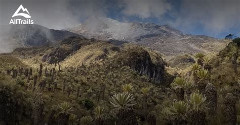  Le Parc National Los Nevados: Un refuge pour la faune et une ascension spectaculaire !